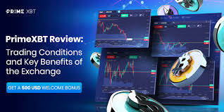 Explore the Future of Trading with Primexbt Explore the Future of Trading with Primexbt